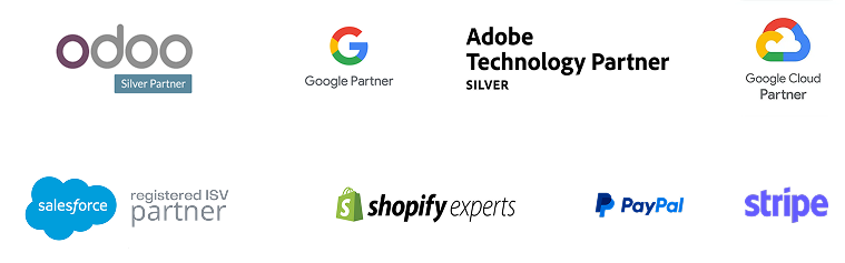 Technology Partners
