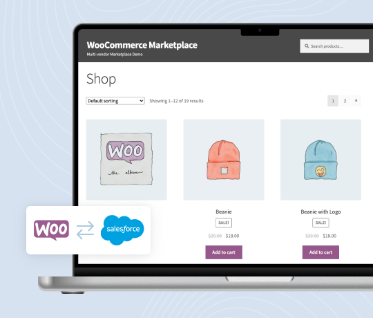 Salesforce Connector For WordPress WooCommerce